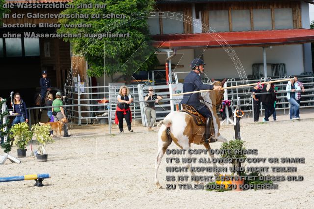 s_DSC04711.JPG